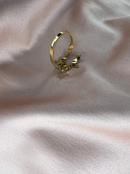 Custom Double Name Ring